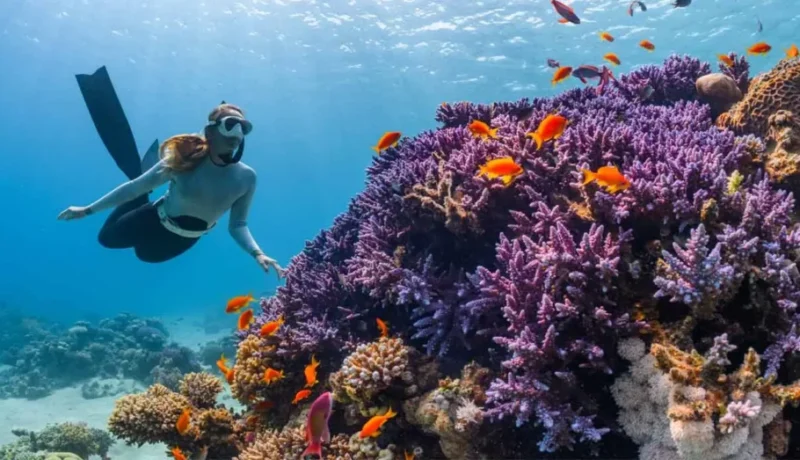 Girl-snorkeling-in-Gili-Trawangan