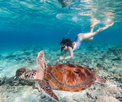 Private Snorkeling For 2 Hours With 3 Spots