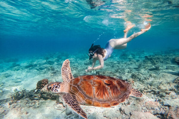 Private Snorkeling For 2 Hours With 3 Spots