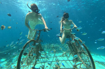 Private Snorkellng During 8 Hours