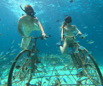 Private Snorkellng During 8 Hours