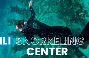 Private Trip Gili Trawangan Snorkeling Tour(1)