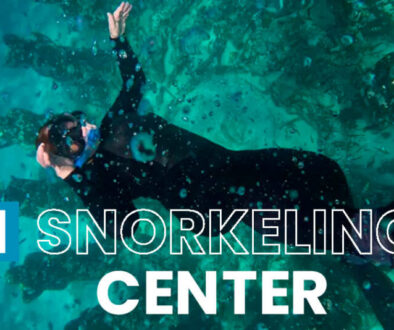 Private Trip Gili Trawangan Snorkeling Tour(1)