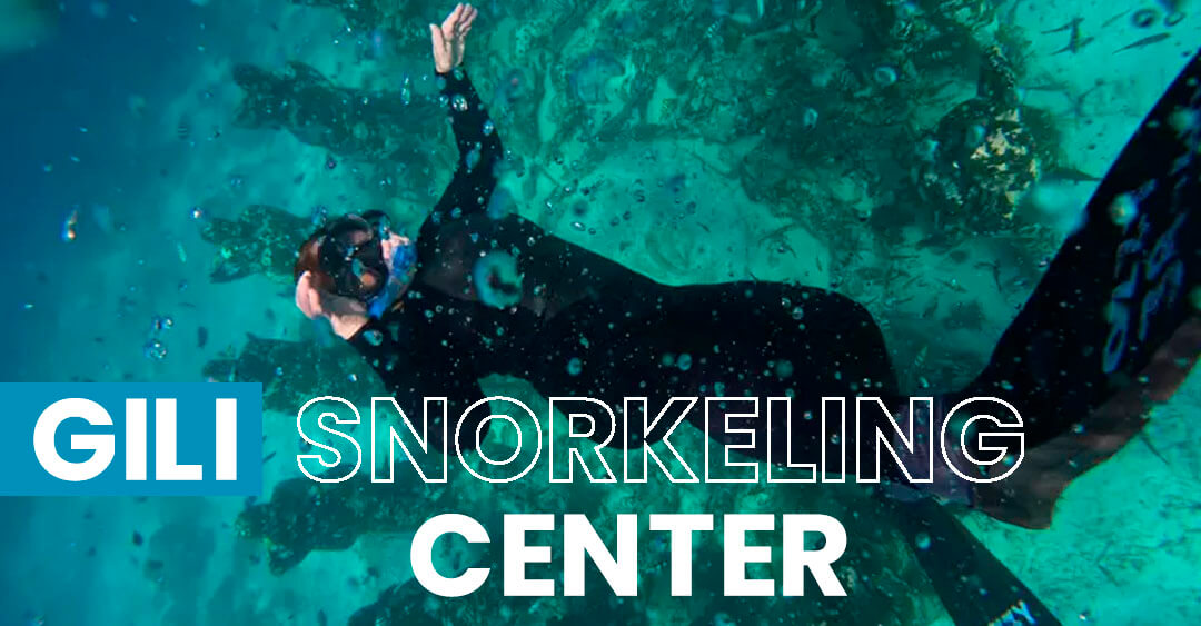 Private Trip Gili Trawangan Snorkeling Tour(1)