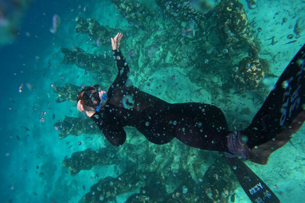 Shared Snorkeling With The Group, During 4 Hours