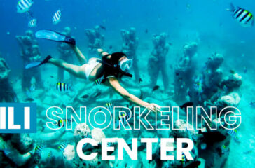 Snorkeling Gili Trawangan(1)