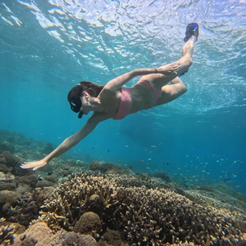 gili snorkeling center - gallery (15) gili snorkeling center - gallery (15)
