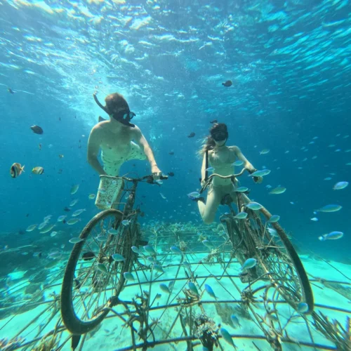 gili snorkeling center - gallery (2) gili snorkeling center - gallery (2)