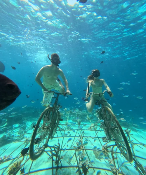 gili snorkeling center - gallery (3)