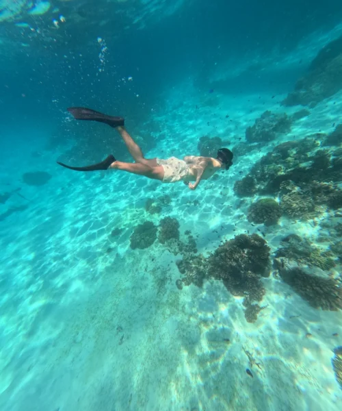 gili snorkeling center - gallery (4)