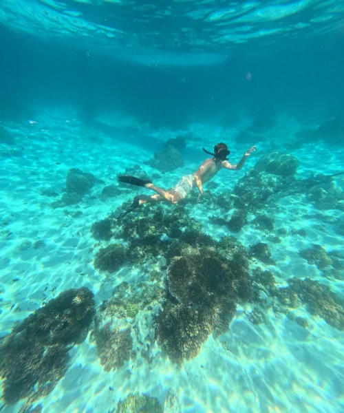 gili snorkeling center - gallery (5)